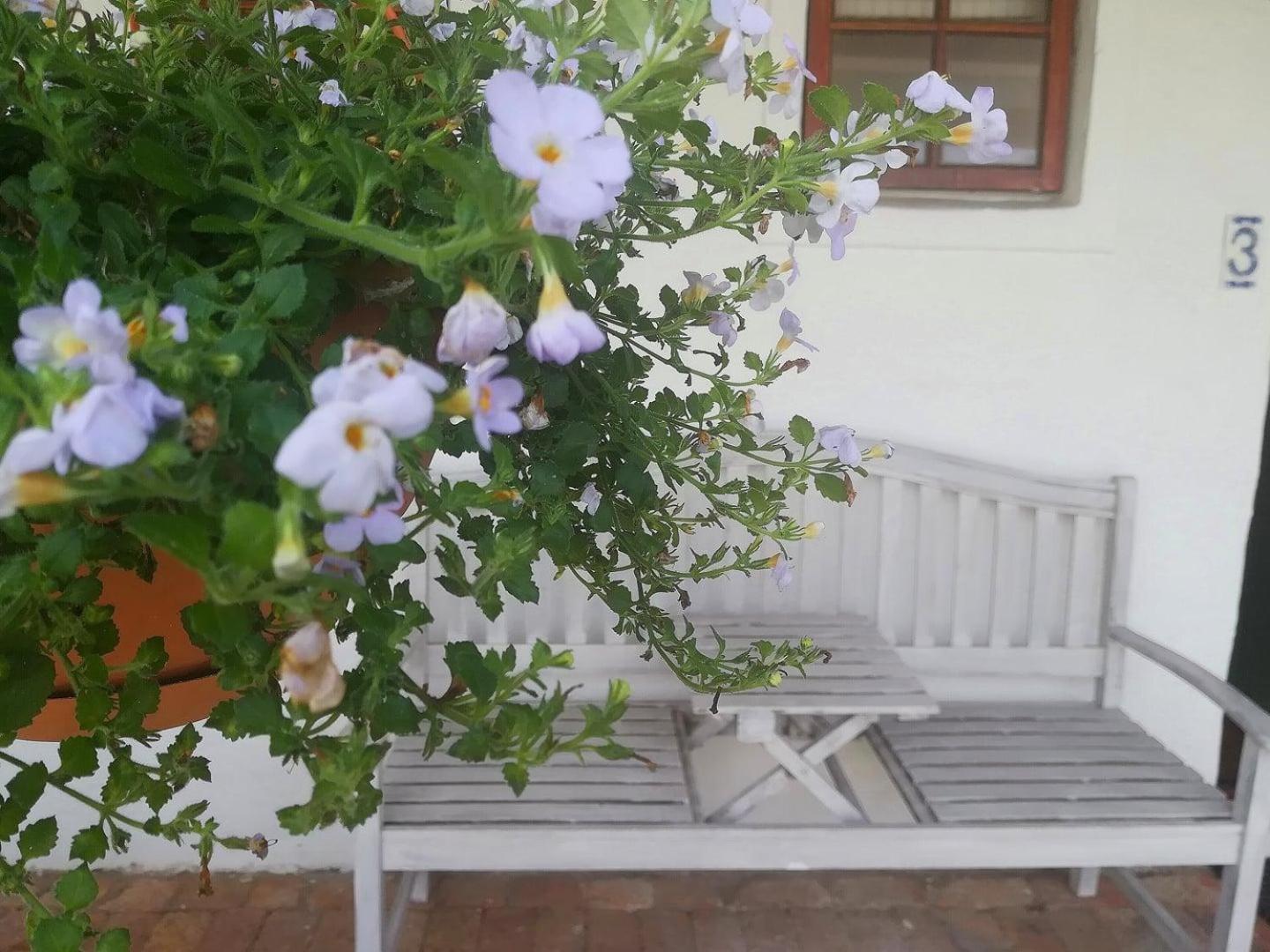 Kaijaiki Country Inn And Restaurant Yzerfontein Oda fotoğraf